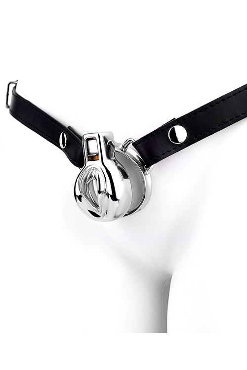 Chastity Belt with Stainless Steel Vulva Cage