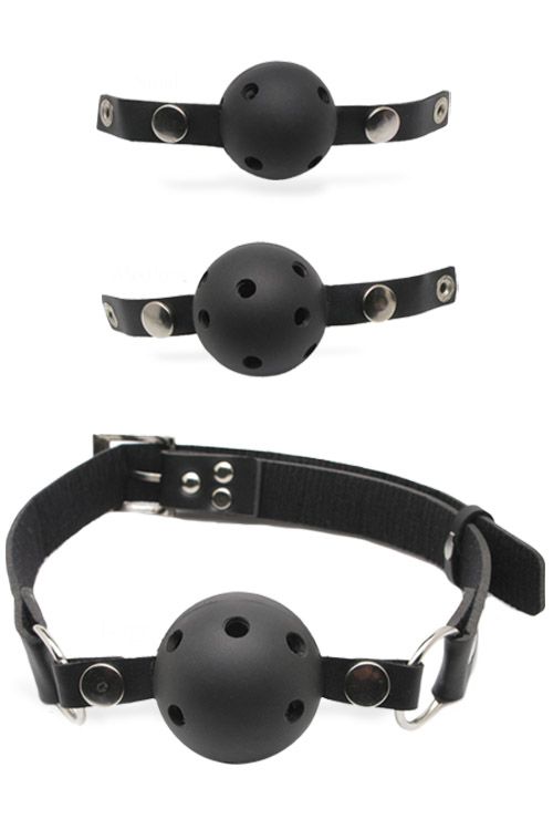 Ball Gag Training System