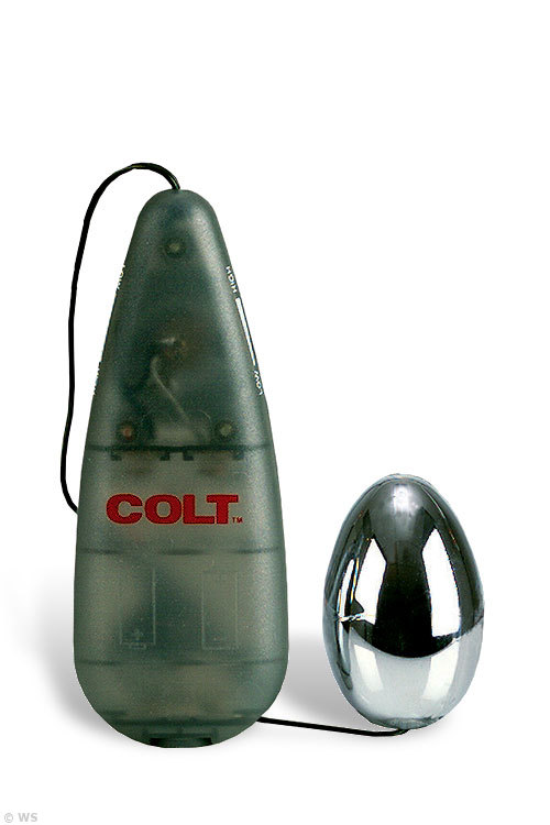 Power Egg 2" Remote Controlled Egg Vibrator
